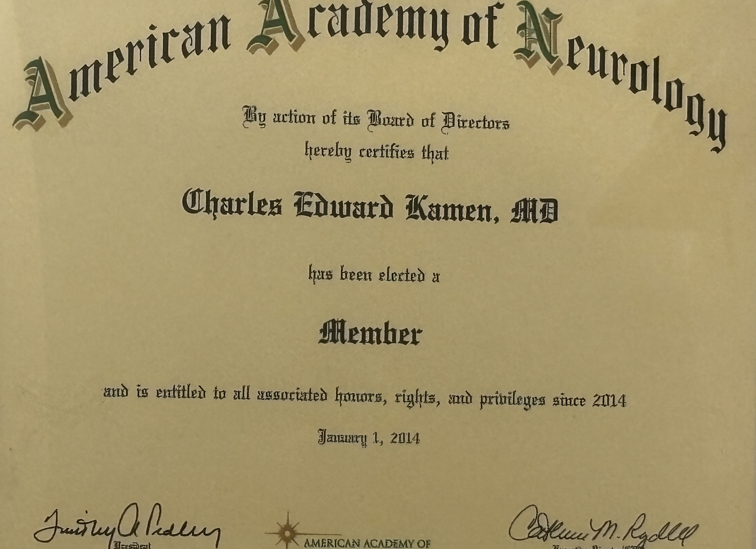 Member — American Academy of Neurology (since 2014)